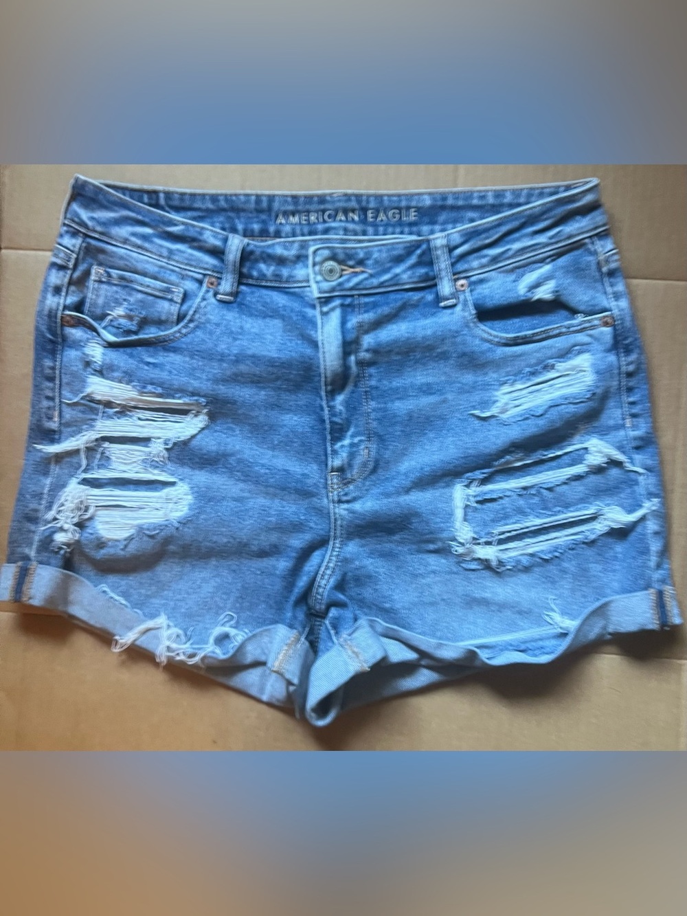 American Eagle Outfitters Ripped Light Blue Denim Jean Shorts